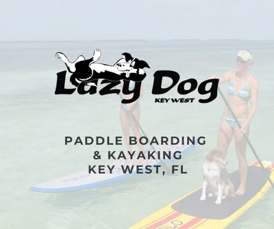 Lazy Dog Adventures