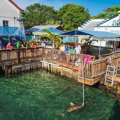 Key West Transit